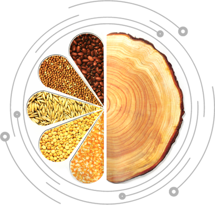 為什么選擇金之源善學(xué)時(shí)尚家具